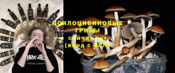 мяу мяу мука Верхний Тагил