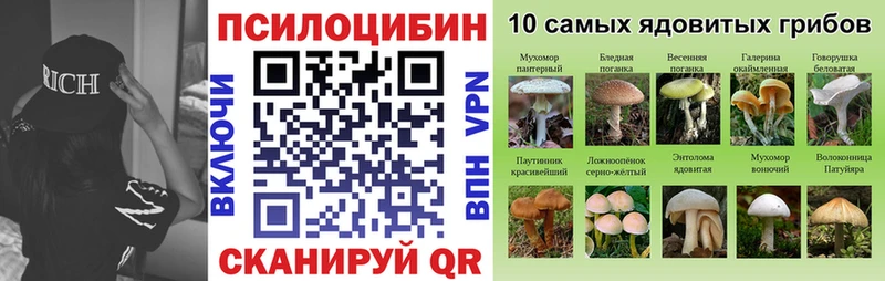 Купить закладки Покачи Галлюциногенные грибы прущие грибы